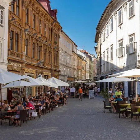 Center With Parking Appartement *